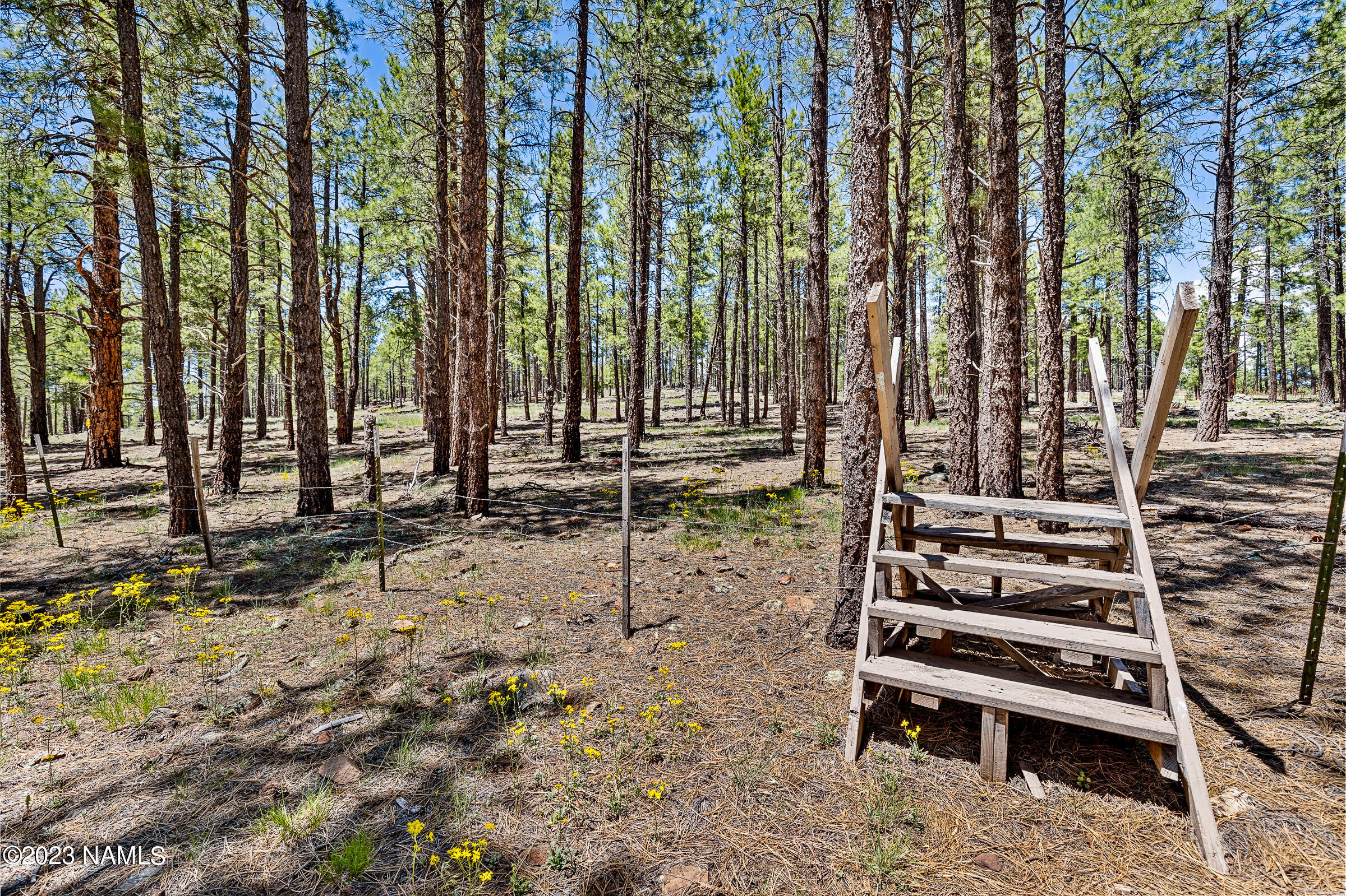 5299 West Brackin Ranch Road Flagstaff, AZ 86001 - Photo 57 of 60 5299 W Brackin Ranch Rd-73