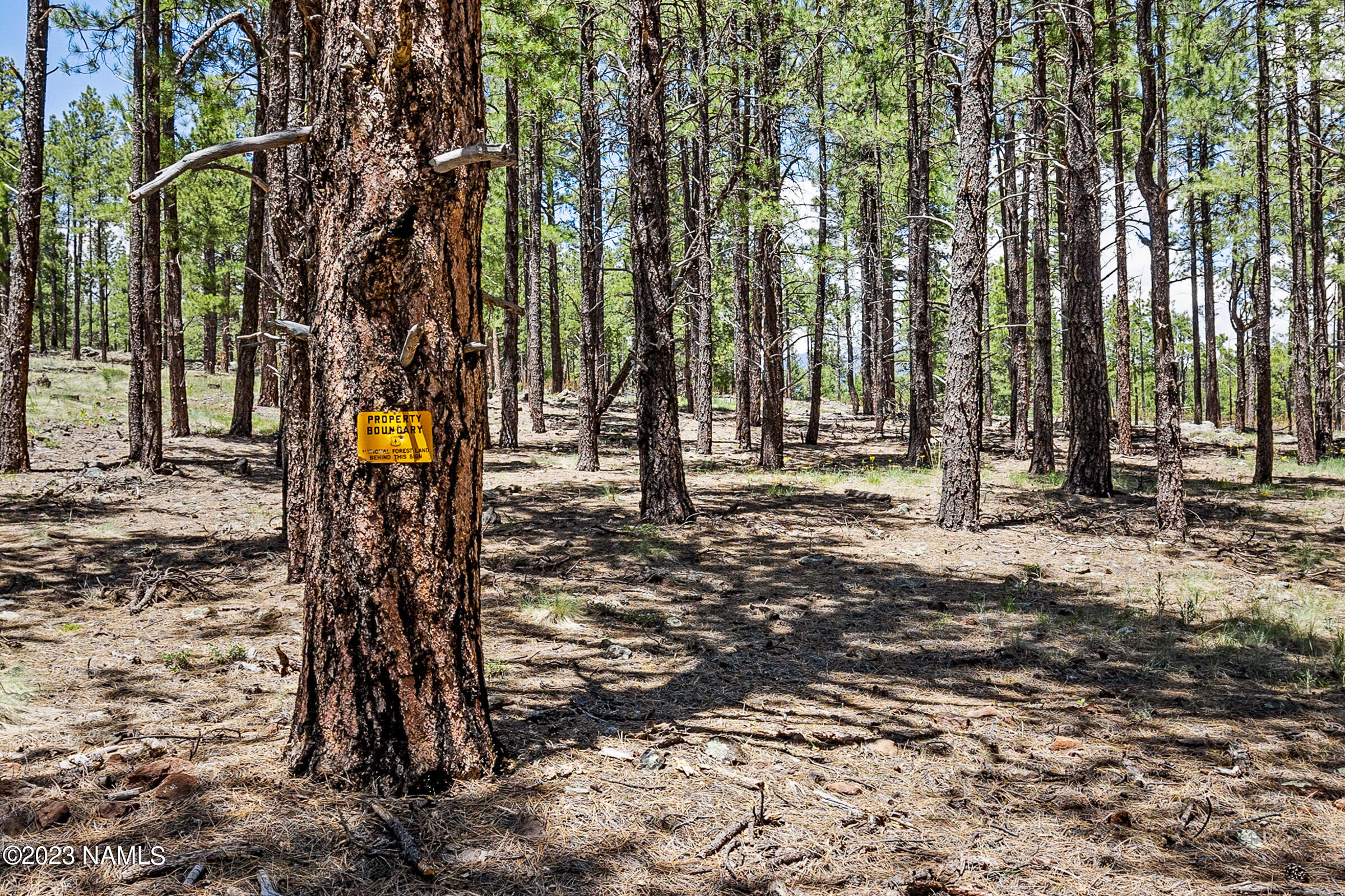 5299 West Brackin Ranch Road Flagstaff, AZ 86001 - Photo 58 of 60 5299 W Brackin Ranch Rd-75