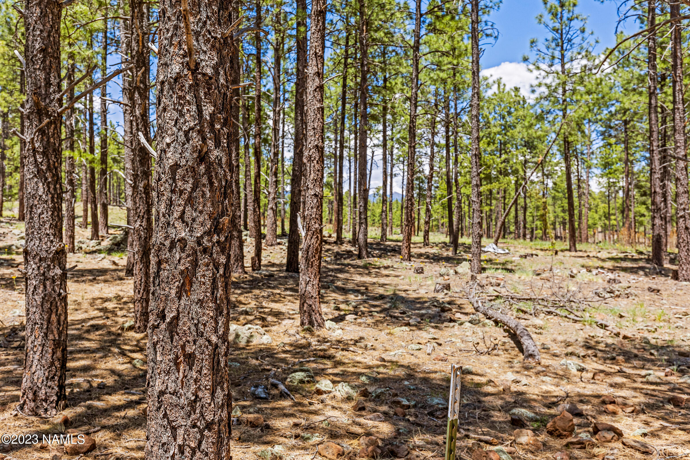 5299 West Brackin Ranch Road Flagstaff, AZ 86001 - Photo 59 of 60 5299 W Brackin Ranch Rd-76
