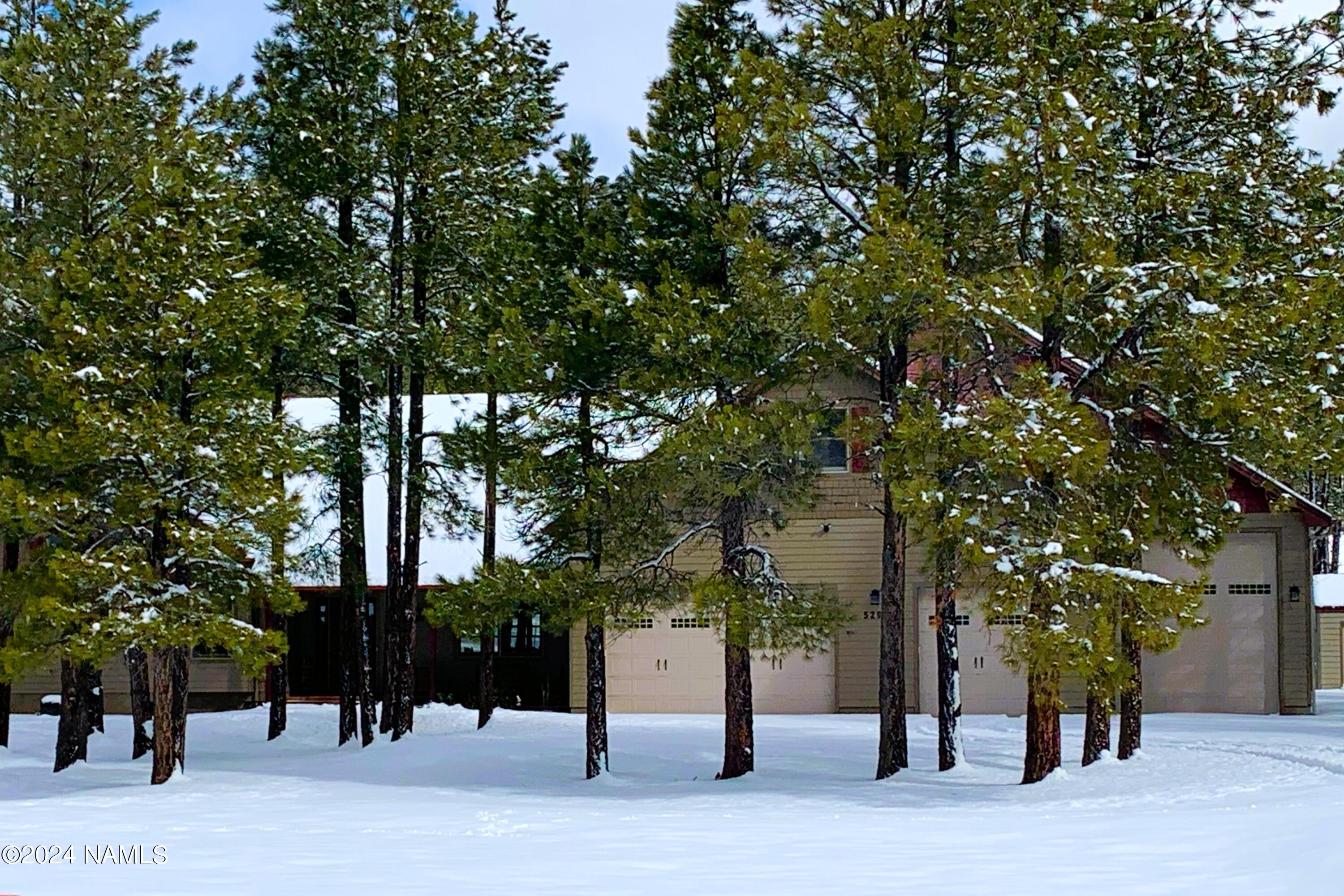 5299 West Brackin Ranch Road Flagstaff, AZ 86001 - Photo 60 of 60 image0 (2)