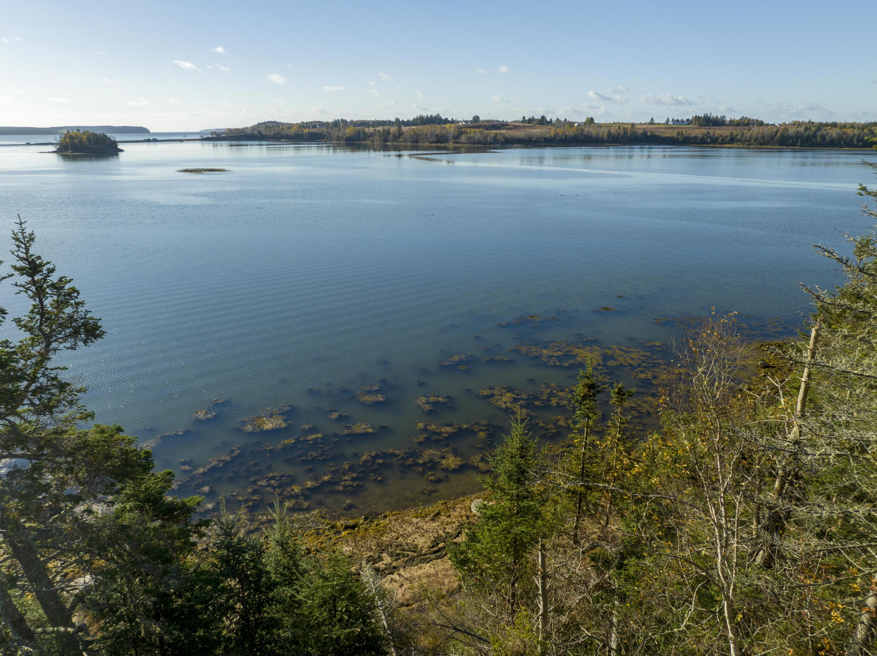 164 Ocean View Road Jonesboro, ME 04648 - Photo 17 of 51 164 Ocean View Rd. Jonesboro, Maine (19