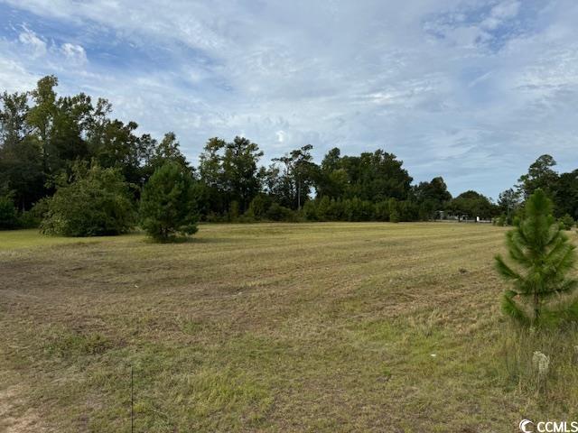 Lot 2 Sand Plant Road Nichols, SC 29581 - Photo 1 of 6 View of landscape featuring a rural view