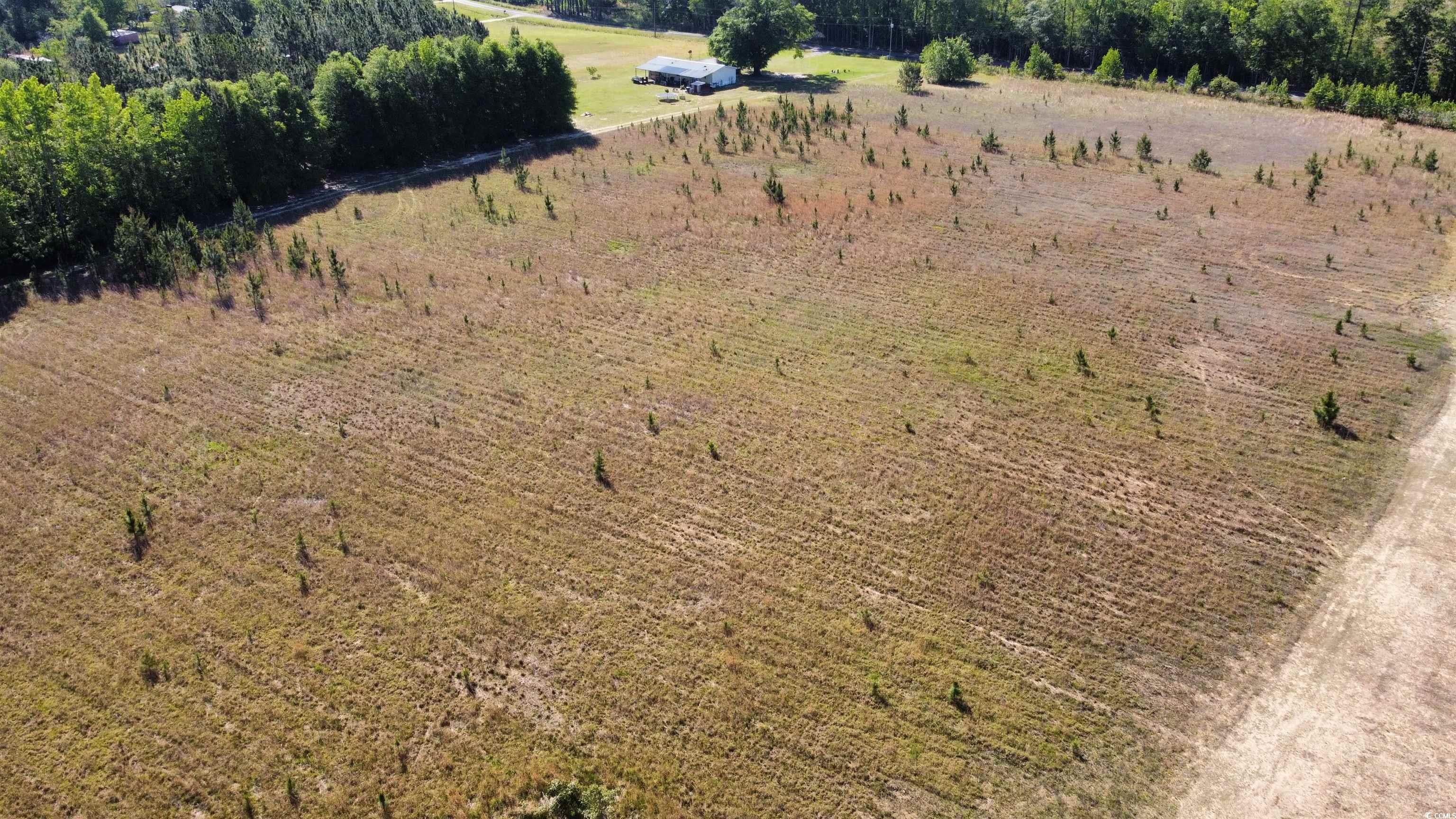 Lot 2 Sand Plant Road Nichols, SC 29581 - Photo 4 of 6 Aerial view featuring a rural view