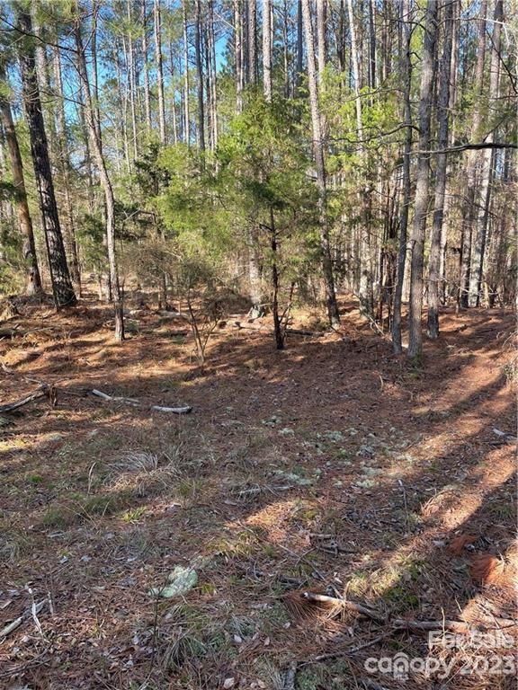 Lot 22 Mountain Lakes Road Chester, SC 29706 - Photo 15 of 20 a backyard of a house with lots of green space