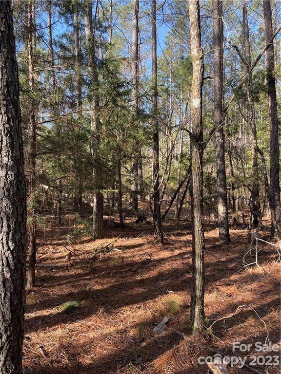Lot 22 Mountain Lakes Road Chester, SC 29706 - Photo 16 of 20 a view of a yard with wooden fence