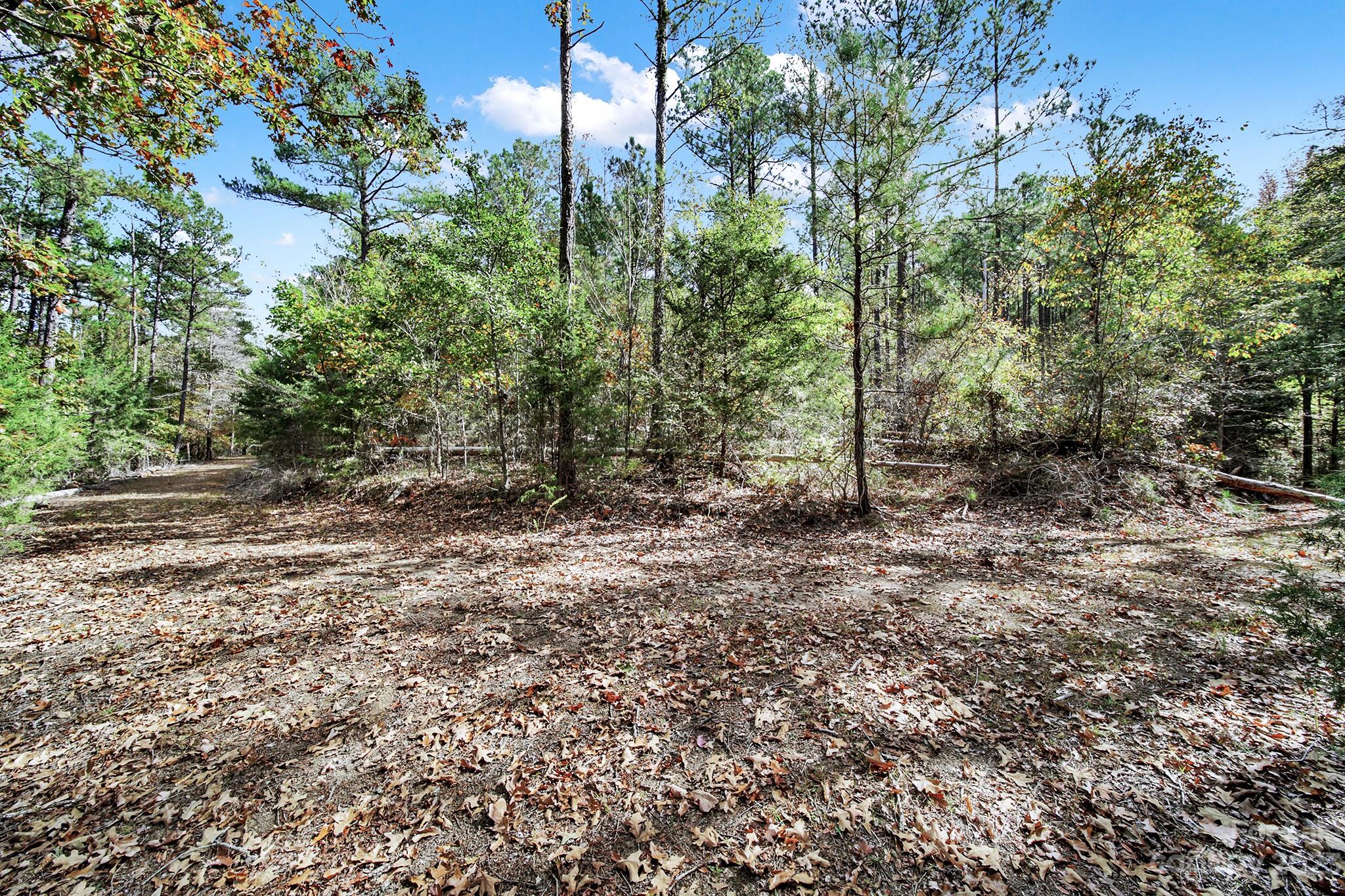 Lot 22 Mountain Lakes Road Chester, SC 29706 - Photo 4 of 20 a view of a forest with trees in the background