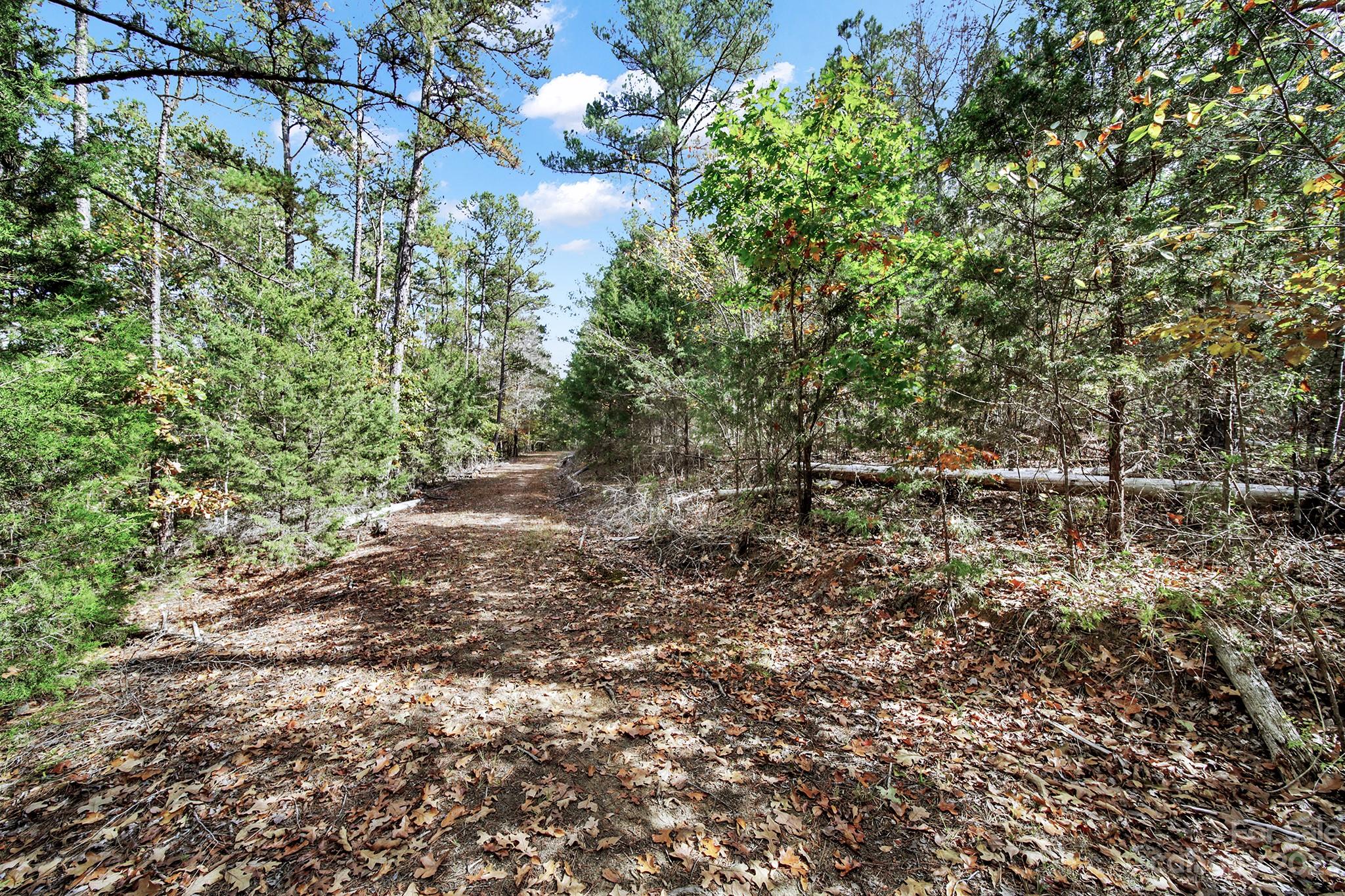 Lot 22 Mountain Lakes Road Chester, SC 29706 - Photo 5 of 20 a view of a forest with a tree