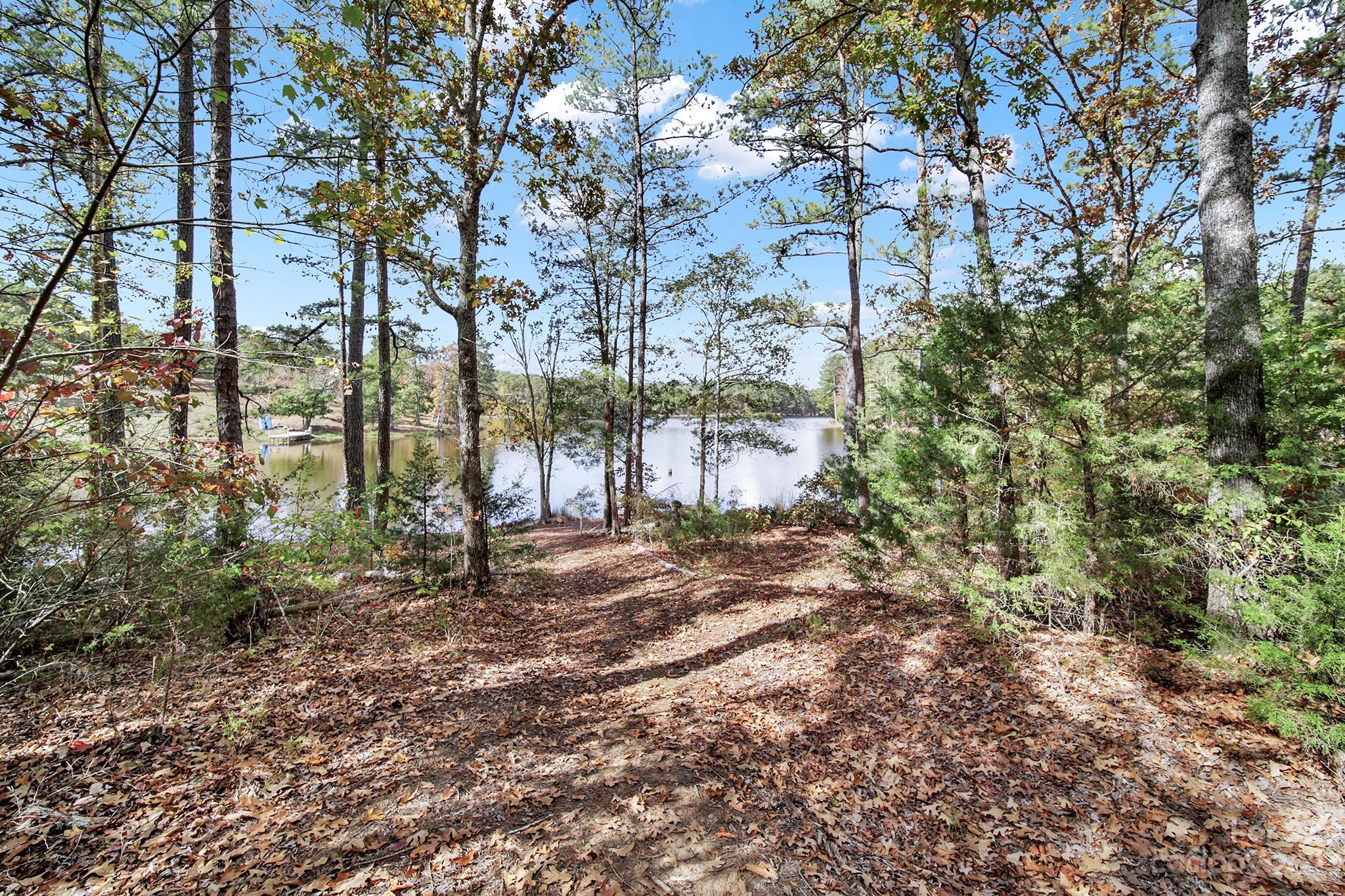 Lot 22 Mountain Lakes Road Chester, SC 29706 - Photo 6 of 20 a view of road and trees