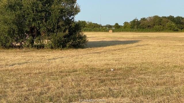 1290 Gun Range Road Somerville, TX 77879 - Photo 9 of 15 Gallery Image 9
