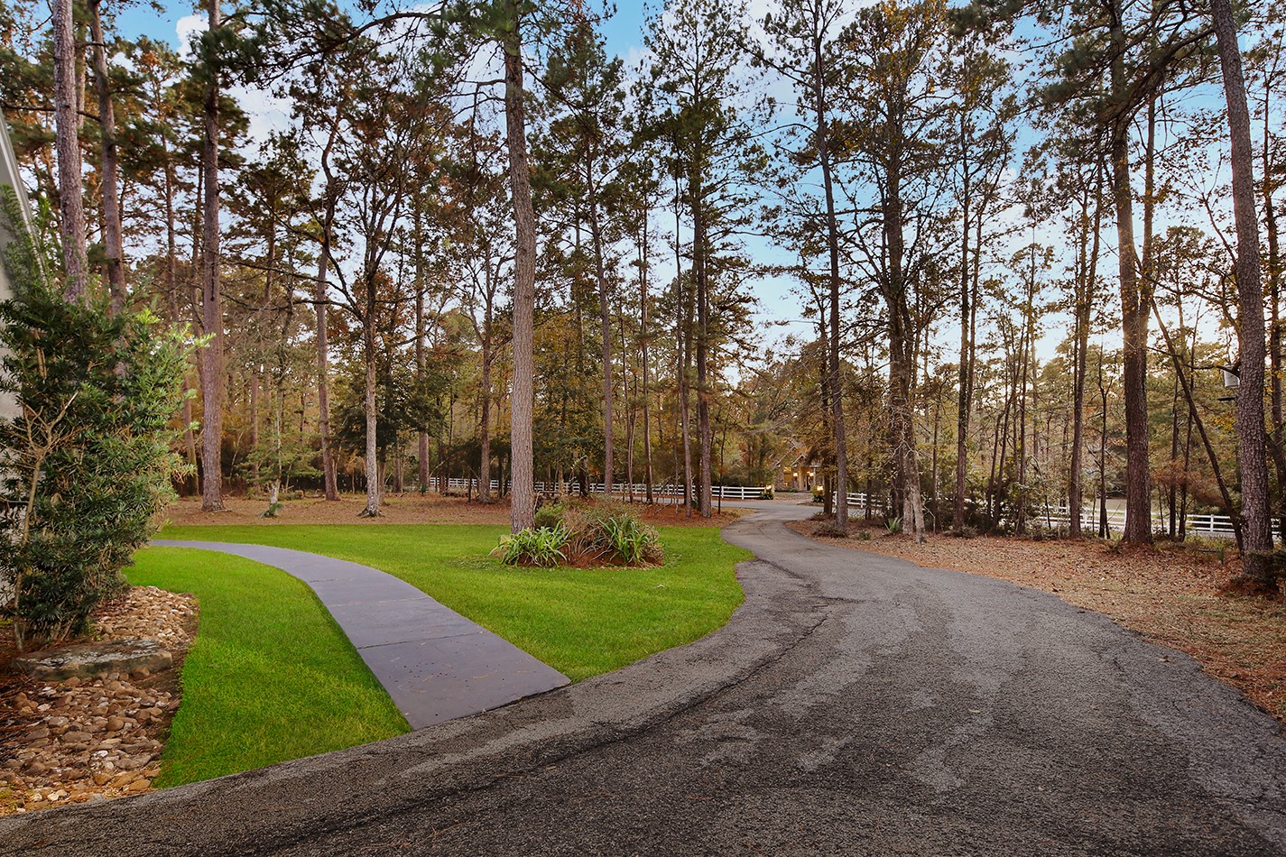 44 Lake Forest Circle Conroe, TX 77384 - Photo 38 of 45 a view of a park with large trees