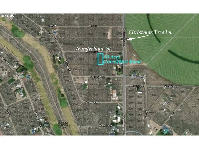 $10,000 | Wonderland Street, Unit 6200, Christmas Valley, OR 97641