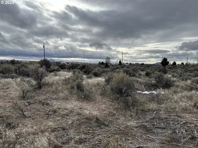 $10,000 | Wonderland Street, Unit 6200, Christmas Valley, OR 97641