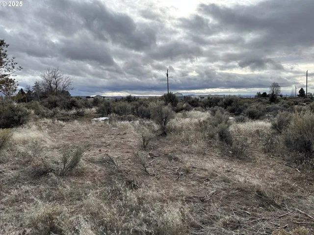 $10,000 | Wonderland Street, Unit 6200, Christmas Valley, OR 97641