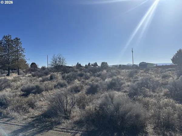 $9,000 | Wonderland Street, Unit 6200, Christmas Valley, OR 97641