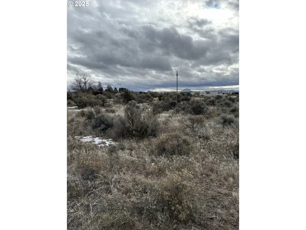 a view of a dry yard