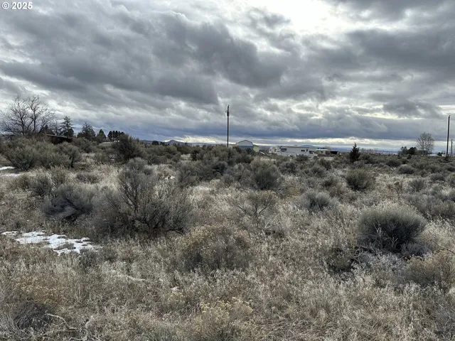 $10,000 | Wonderland Street, Unit 6200, Christmas Valley, OR 97641