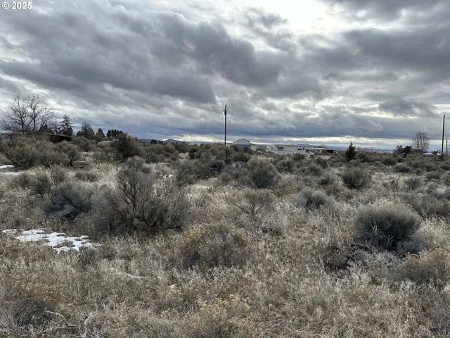 $10,000 | Wonderland Street, Unit 6200, Christmas Valley, OR 97641