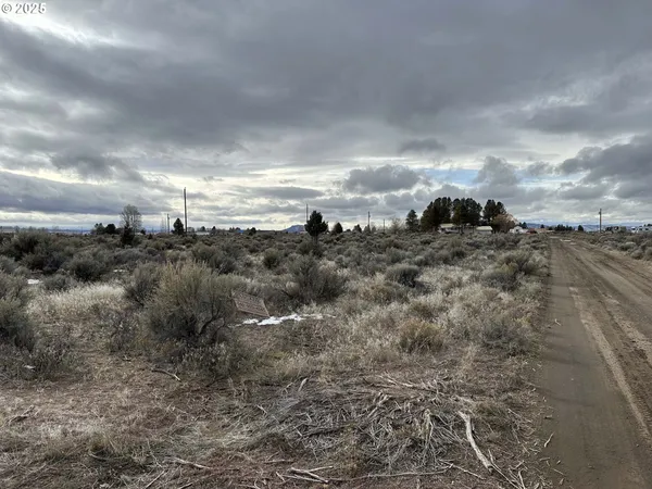 a view of a bunch of trees in a field