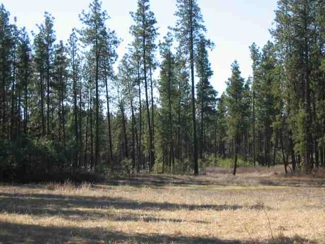 3605 South Thorpe Road Spokane, WA 99224 - Photo 1 of 1