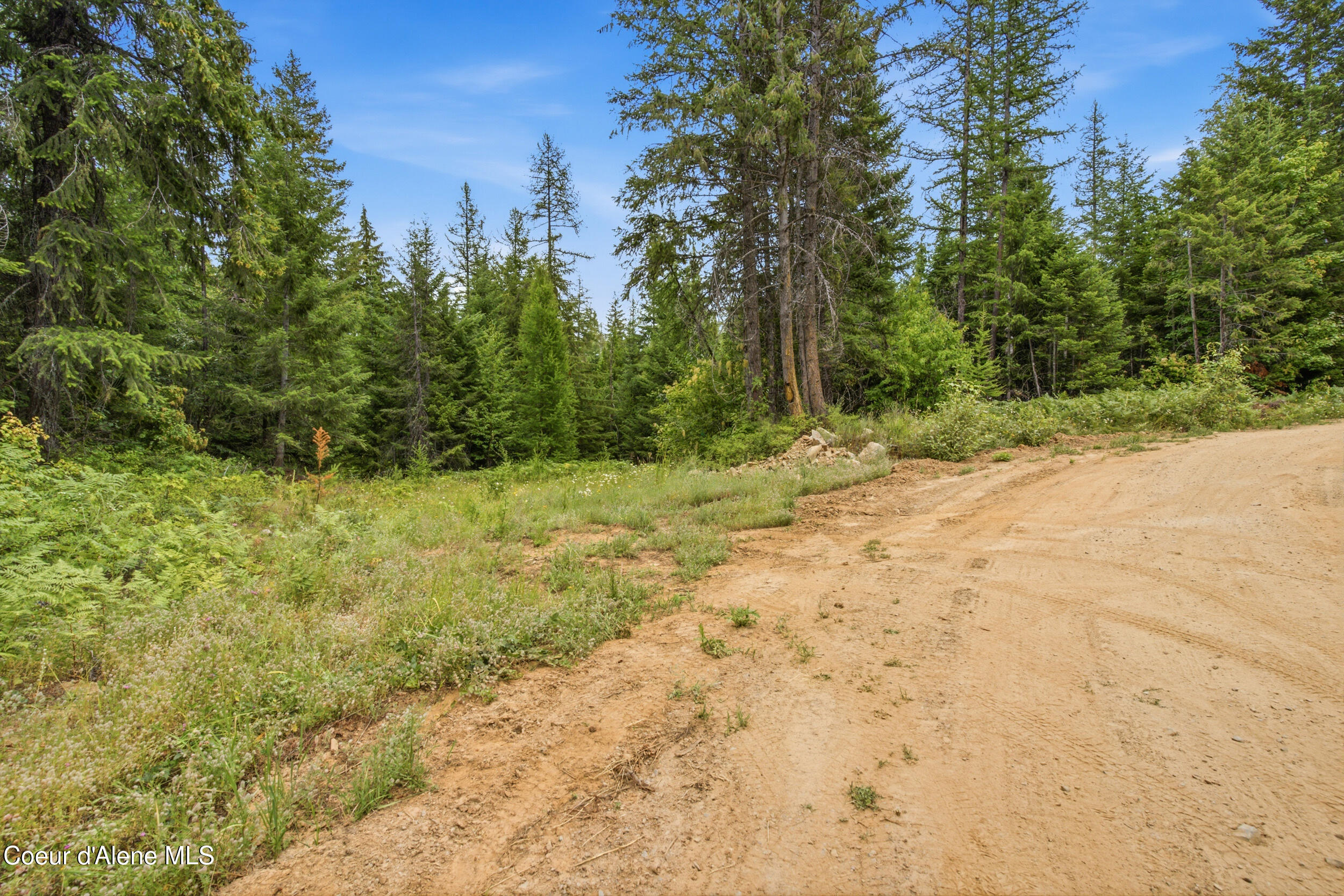 217 Whodathunkit Road Sandpoint, ID 83864 - Photo 18 of 30 18__dsc0154
