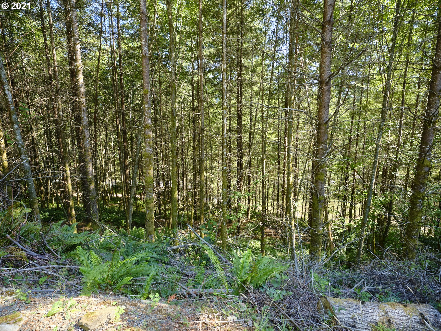 11050 Lewis River Road Ariel, WA 98603 - Photo 23 of 28 Gallery Image 23