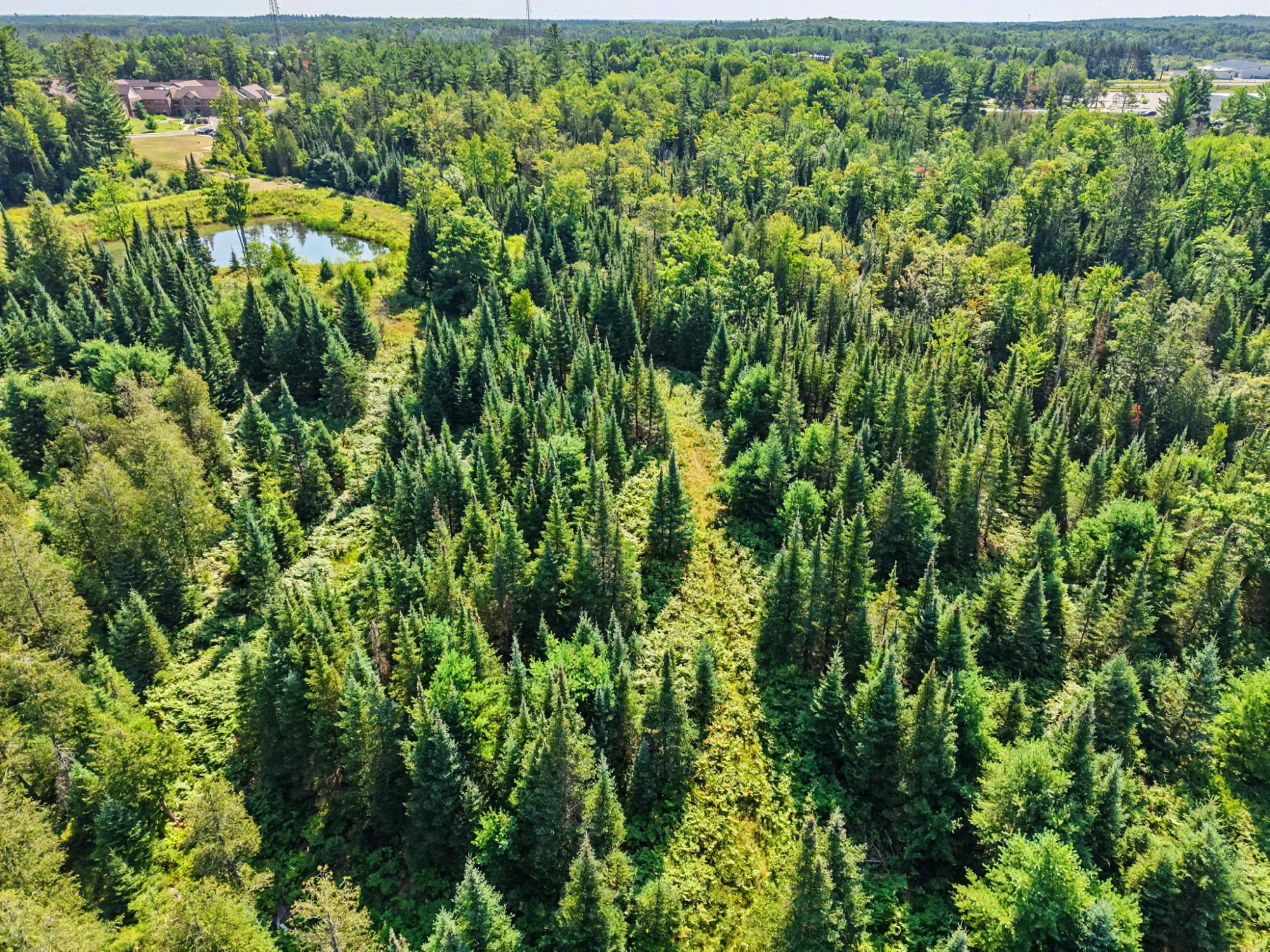 Off Chippewa Drive, Unit 30 ACRES Rhinelander, WI 54501 - Photo 10 of 14 Gallery Image 10