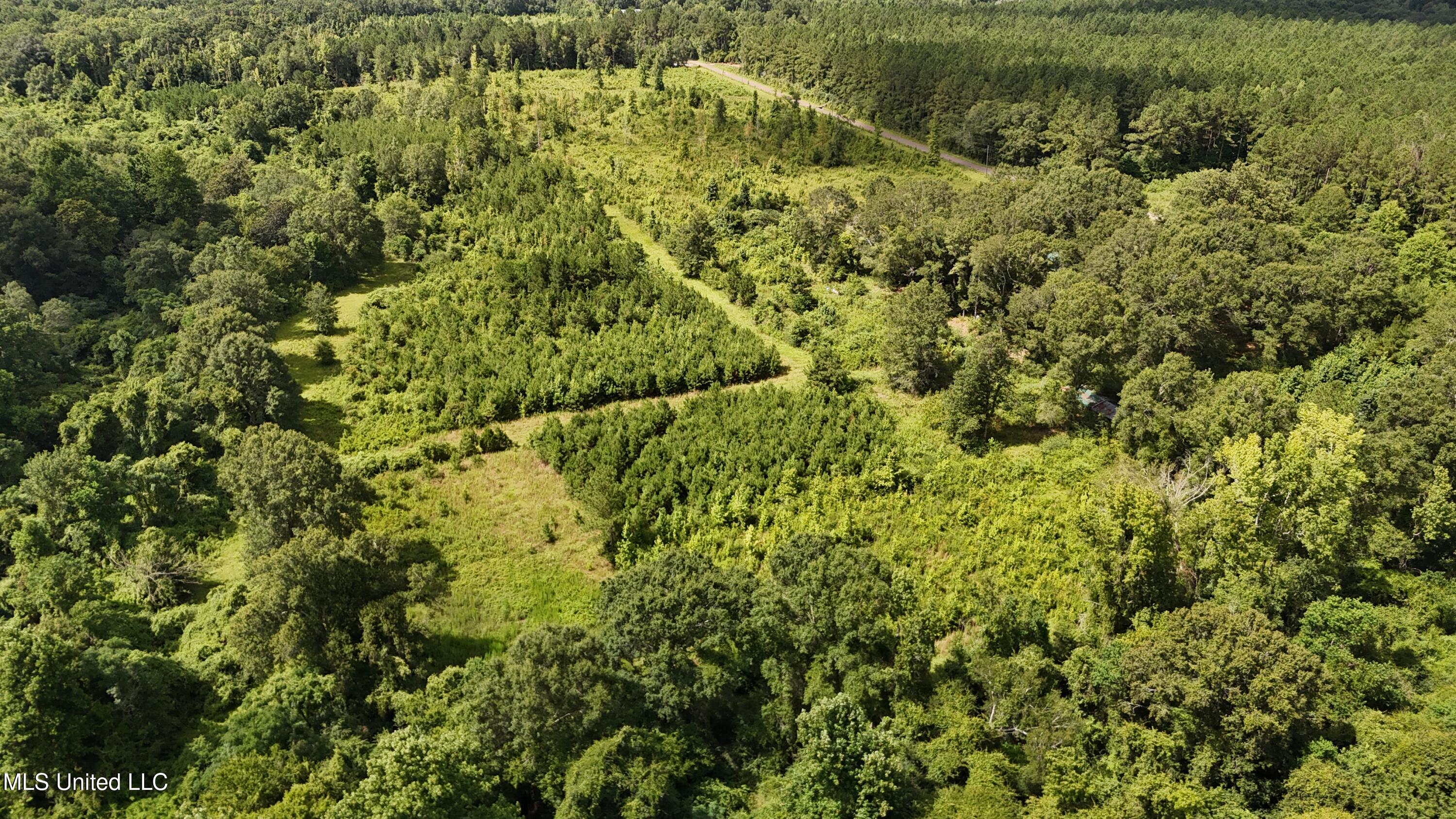 2002 Bala Chitto Road Magnolia, MS 39652 - Photo 2 of 46 dji_fly_20250710_104840_0600_17521625855