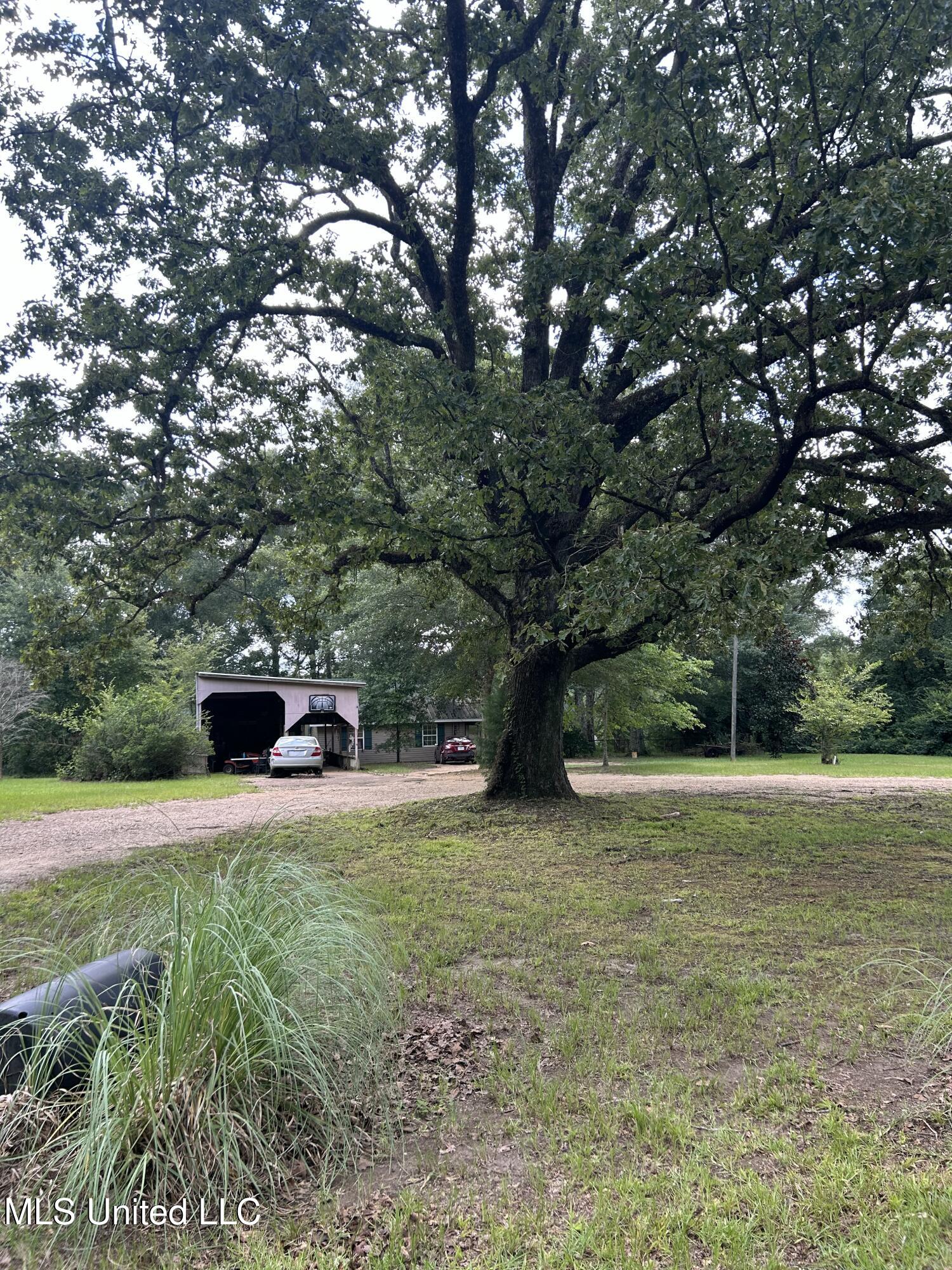 2002 Bala Chitto Road Magnolia, MS 39652 - Photo 38 of 46 IMG_5439