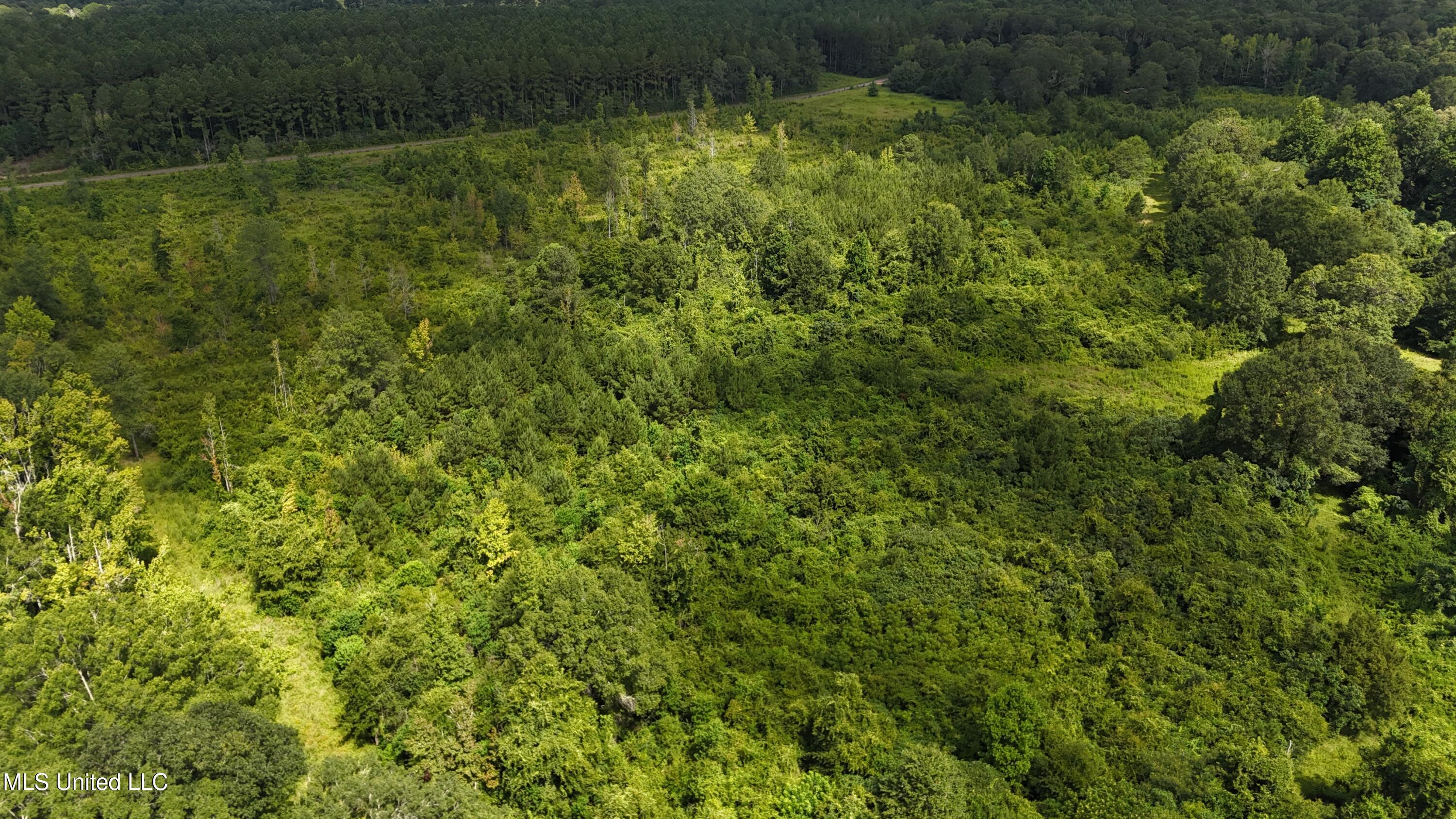 2002 Bala Chitto Road Magnolia, MS 39652 - Photo 4 of 46 dji_fly_20250710_105002_0602_17521625884