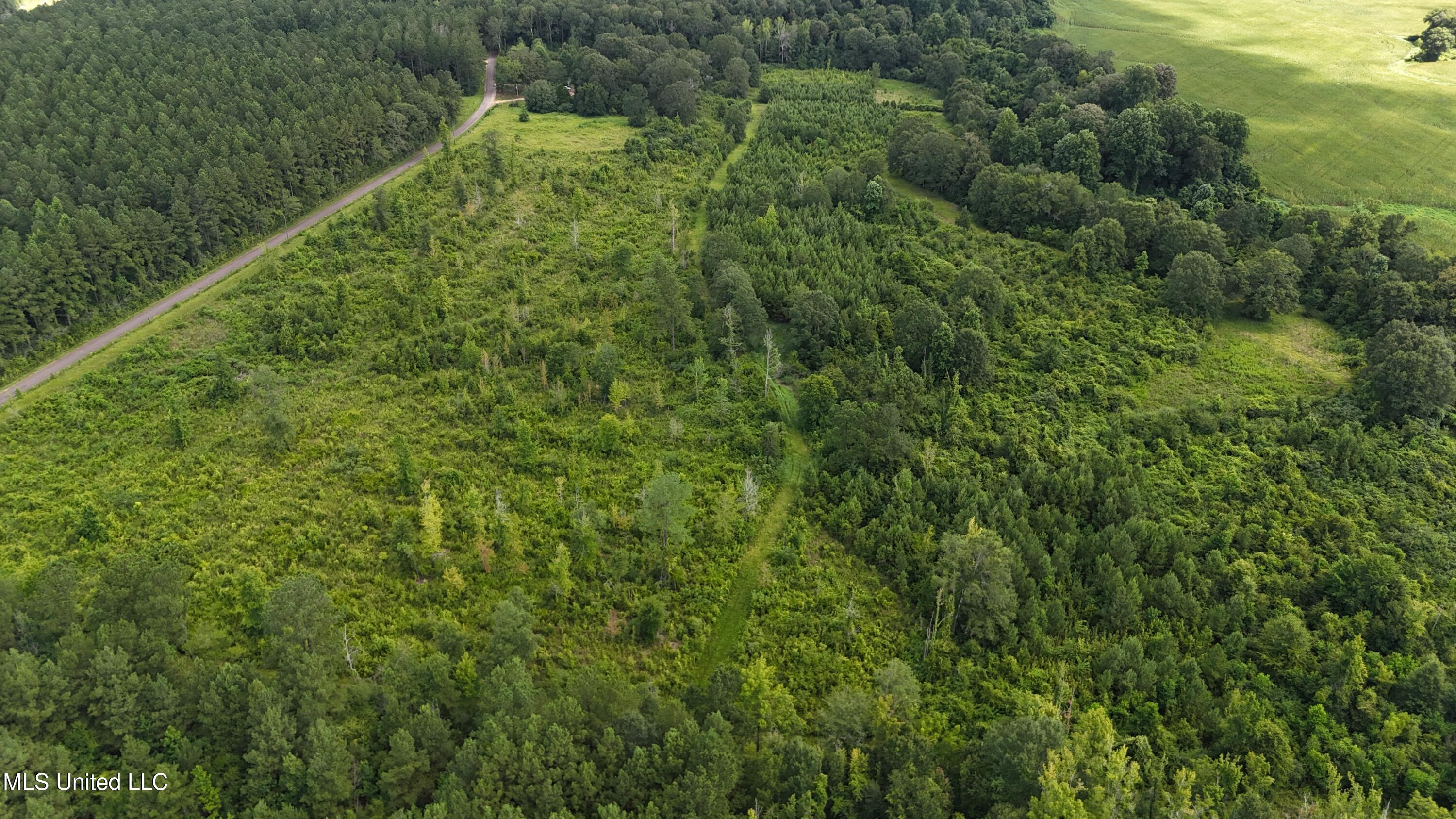 2002 Bala Chitto Road Magnolia, MS 39652 - Photo 5 of 46 dji_fly_20250710_105044_0603_17521625898