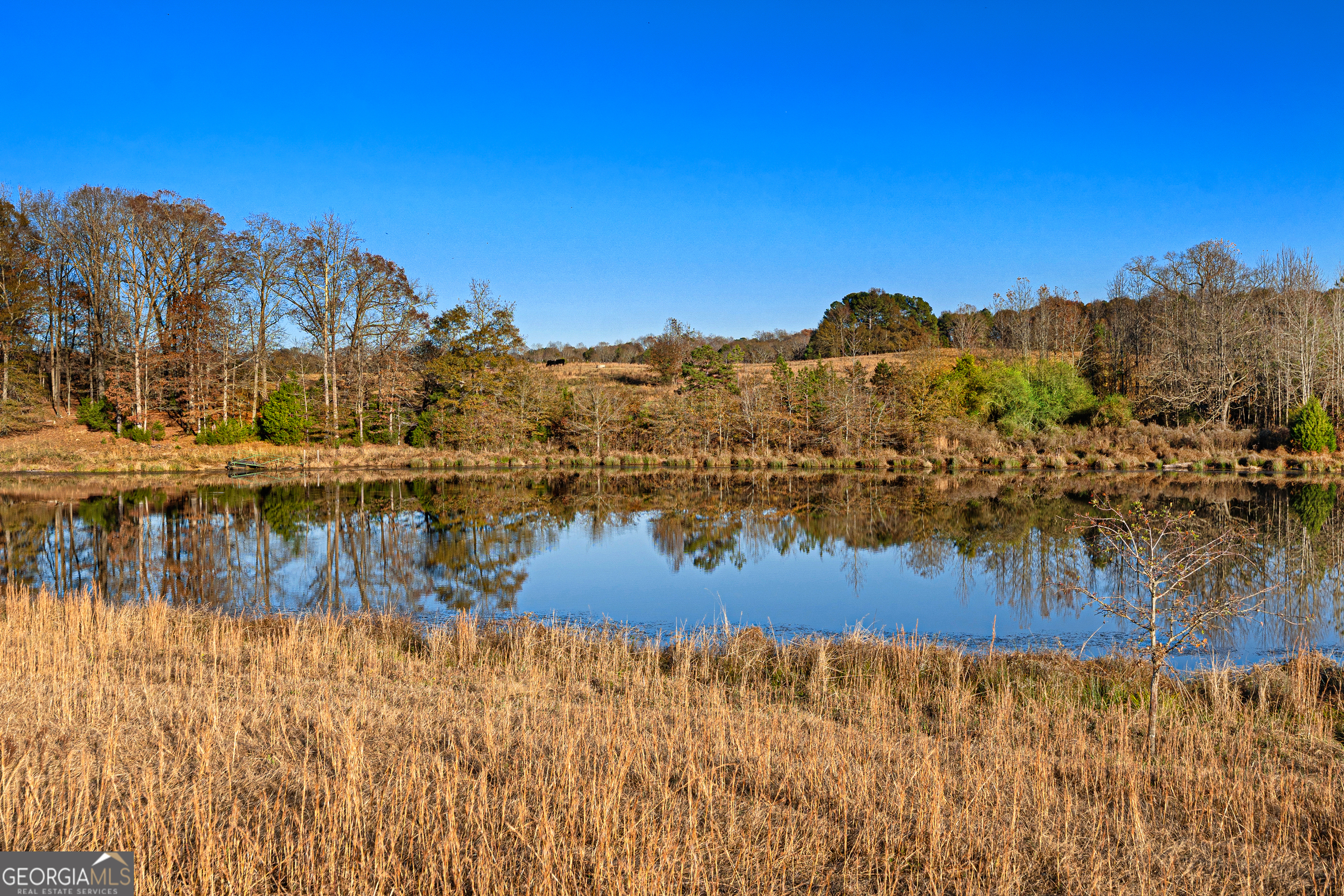 1866 Whippoorwill Trail Hartwell, GA 30643 - Photo 19 of 30