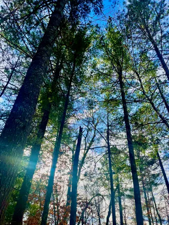 $99,900 | 37336 Teal Drive, Sturgeon Lake, MN 55783