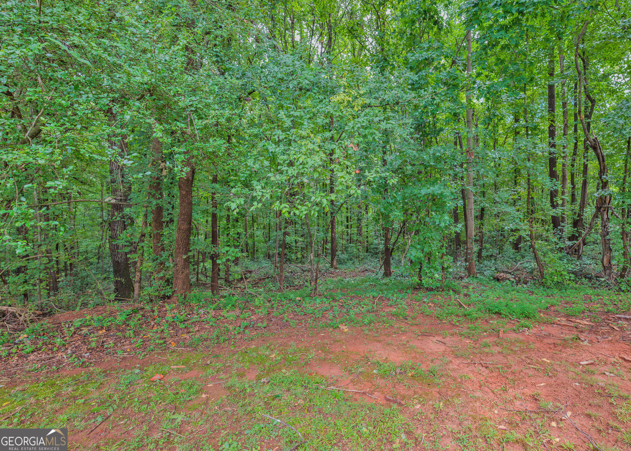 1524 Welcome Home Road Mount Airy, GA 30563 - Photo 36 of 42 Gallery Image 36