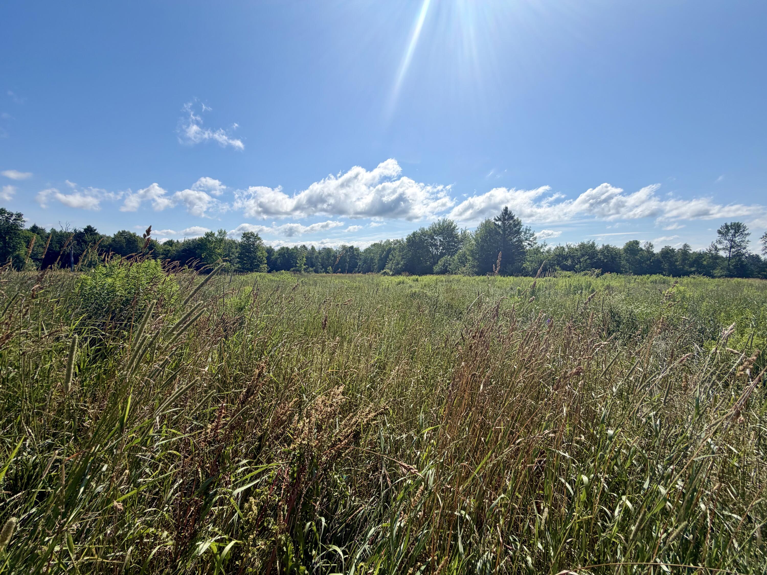 118 Square Road Palmyra, ME 04965 - Photo 23 of 28 IMG_8839