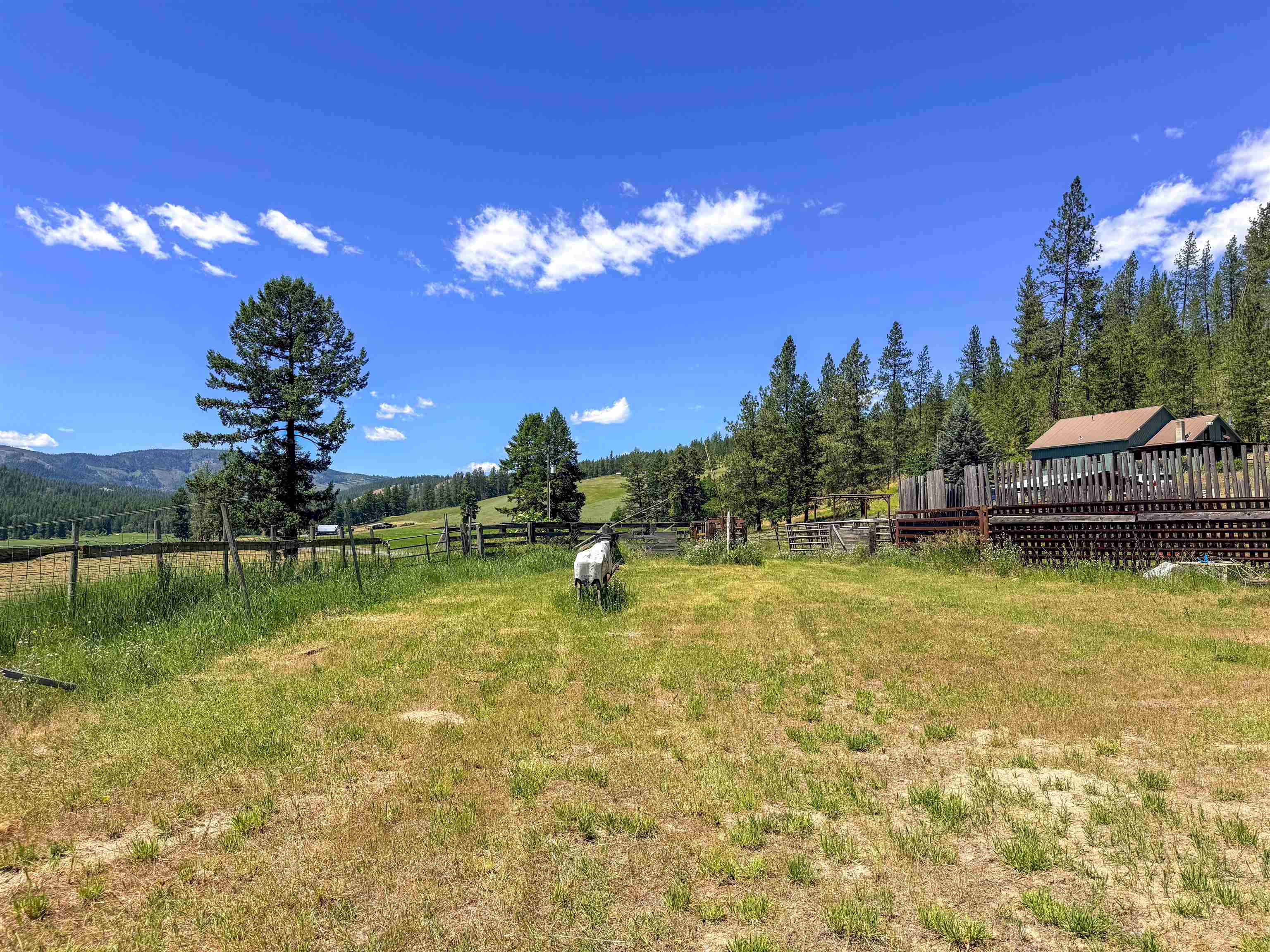 2098 Marble Valley-Basin Road Addy, WA 99101 - Photo 47 of 50