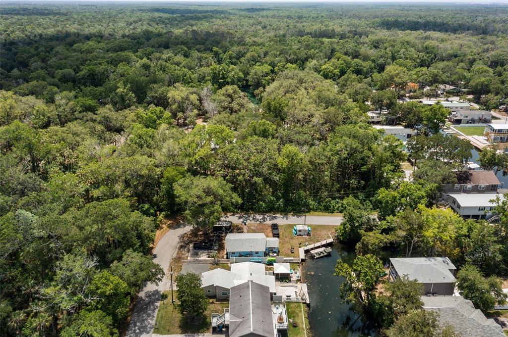 6245 Waverly Road Weeki Wachee, FL 34607 - Photo 28 of 31