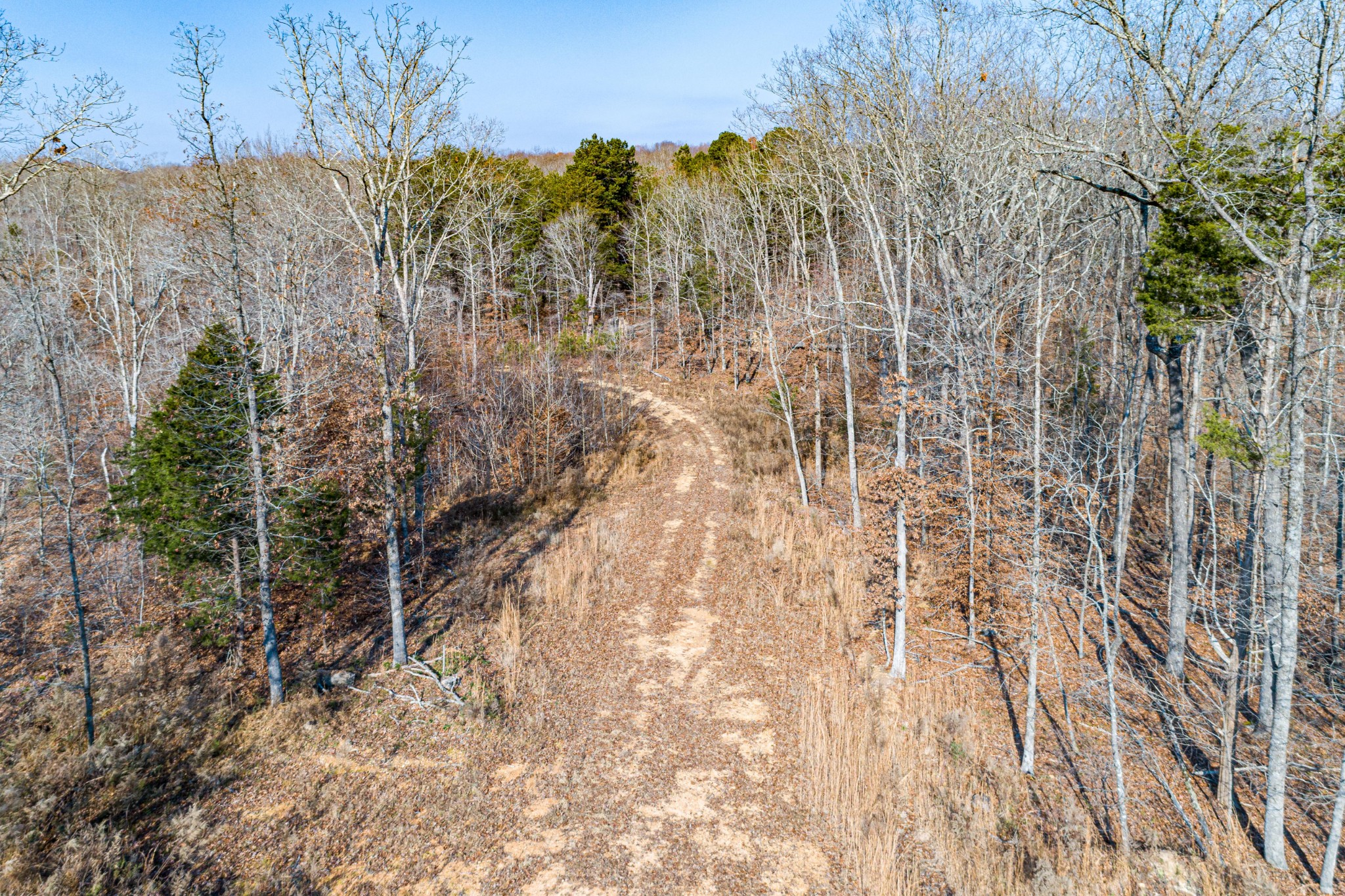 0 Joe Yarbro Road Bath Springs, TN 38311 - Photo 1 of 32 Gallery Image 1