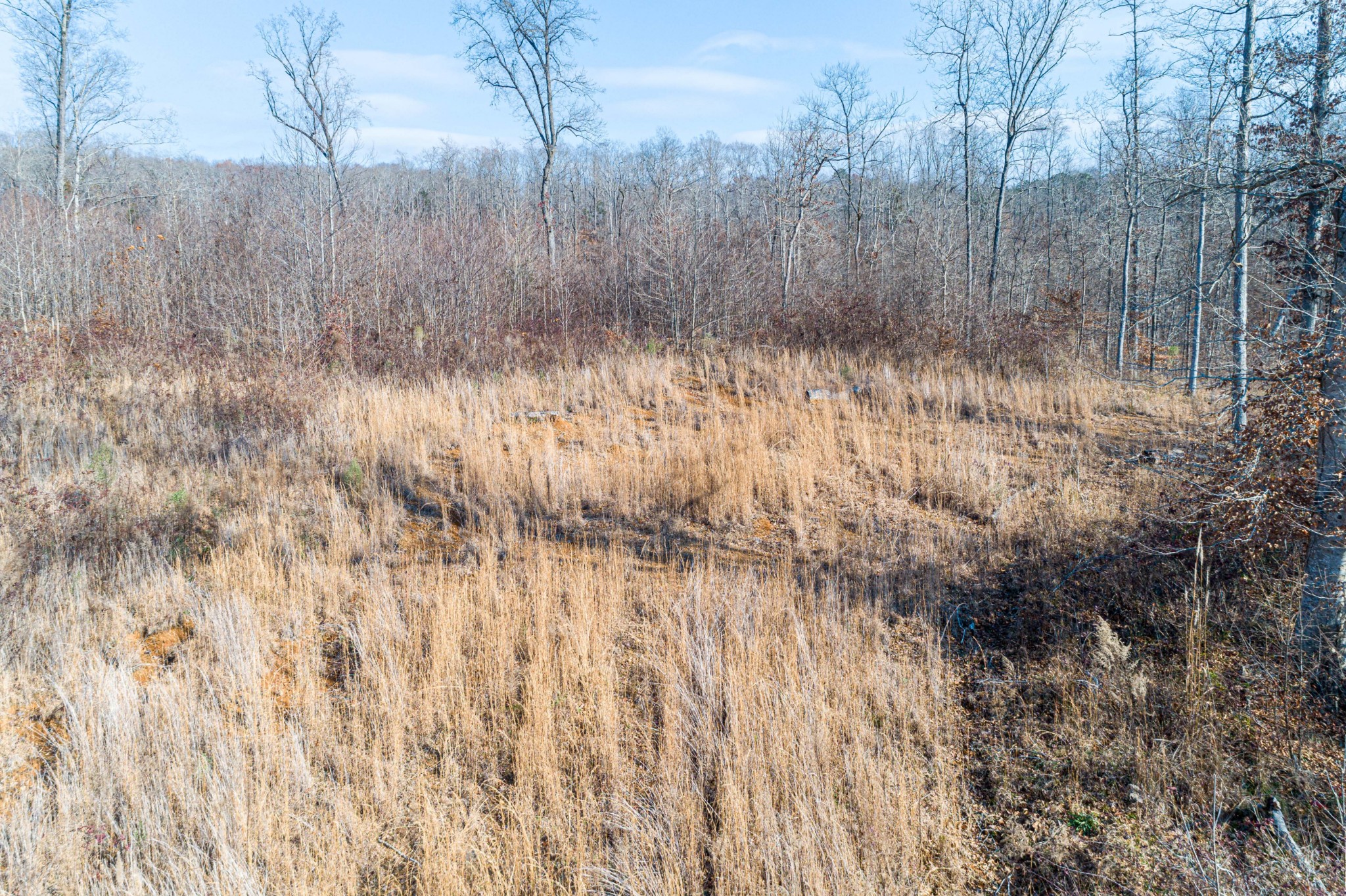 0 Joe Yarbro Road Bath Springs, TN 38311 - Photo 11 of 32 Gallery Image 11