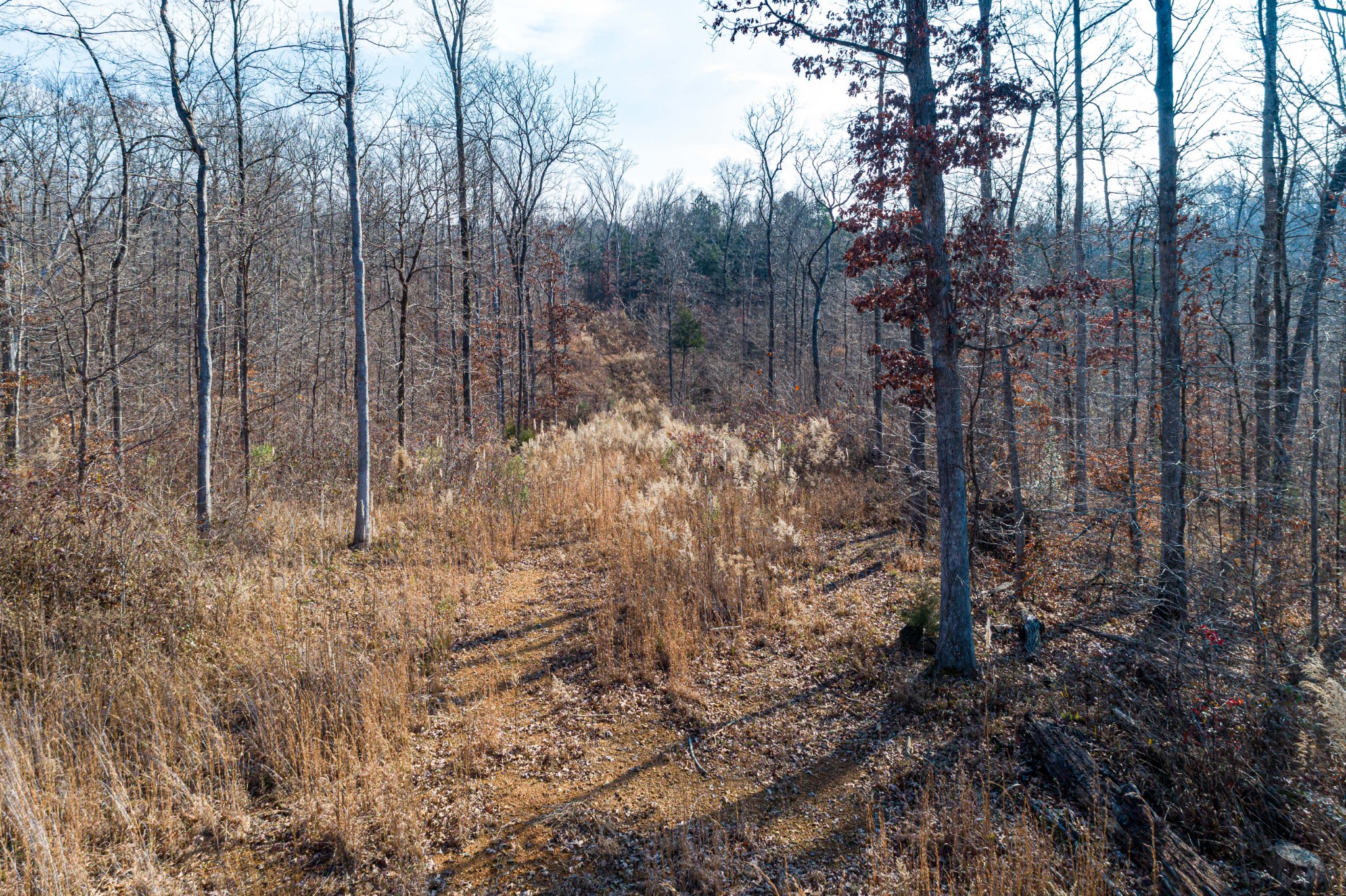 0 Joe Yarbro Road Bath Springs, TN 38311 - Photo 12 of 32 Gallery Image 12