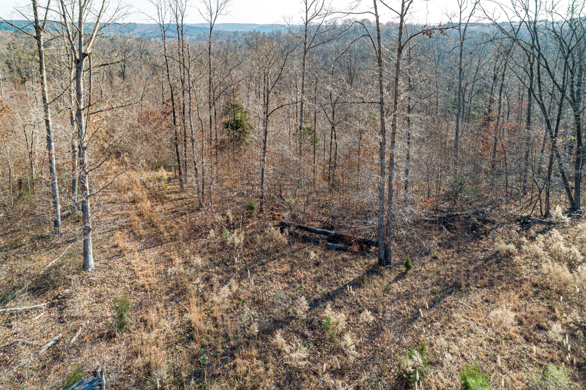 0 Joe Yarbro Road Bath Springs, TN 38311 - Photo 14 of 32 Gallery Image 14