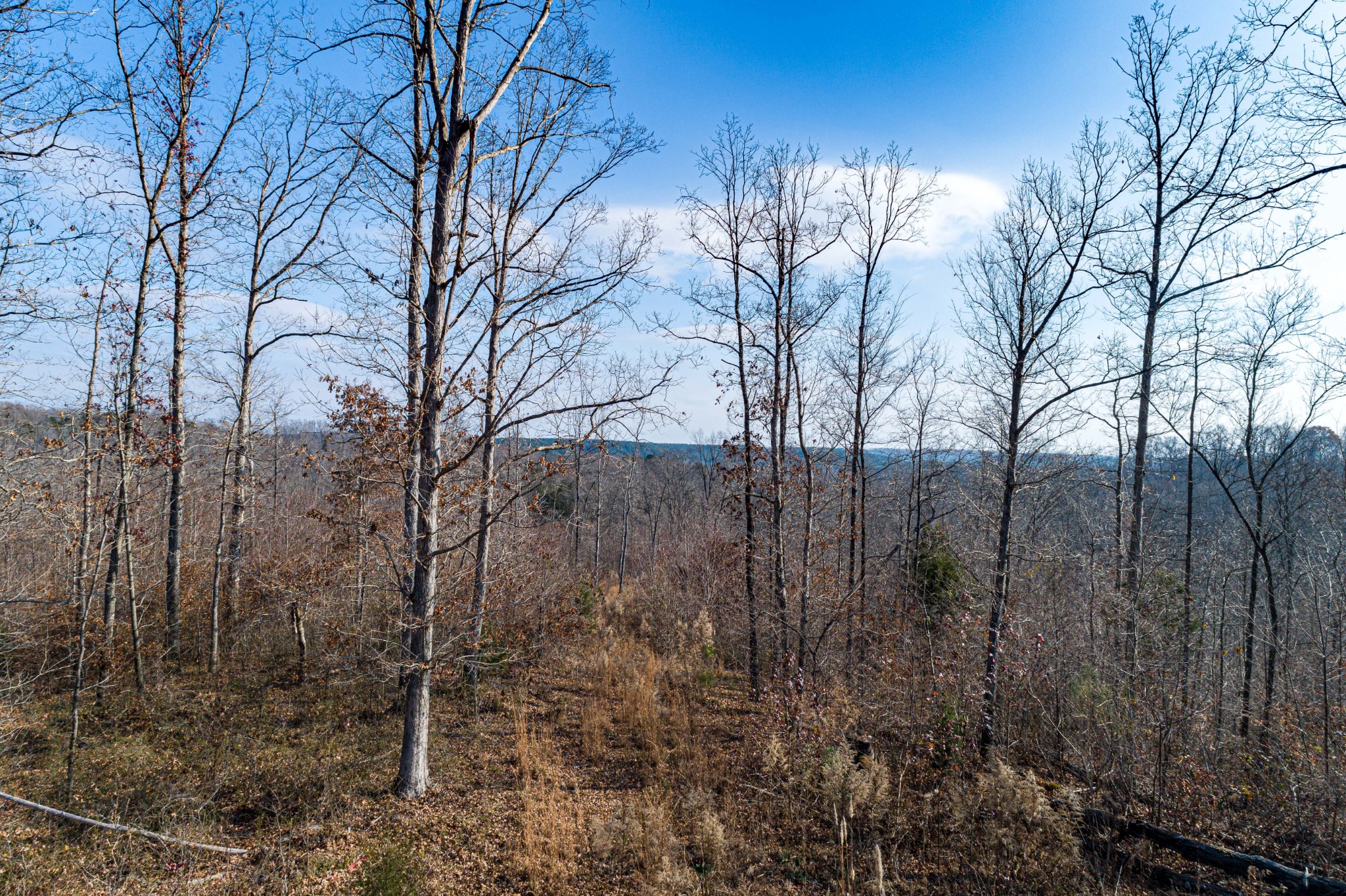 0 Joe Yarbro Road Bath Springs, TN 38311 - Photo 15 of 32 Gallery Image 15