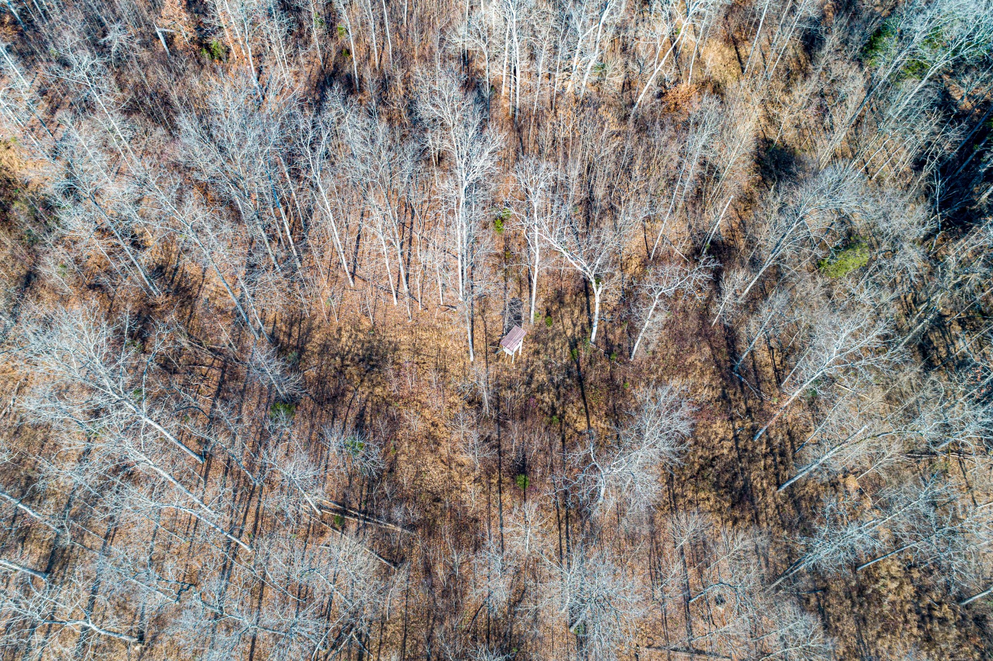 0 Joe Yarbro Road Bath Springs, TN 38311 - Photo 16 of 32 Gallery Image 16