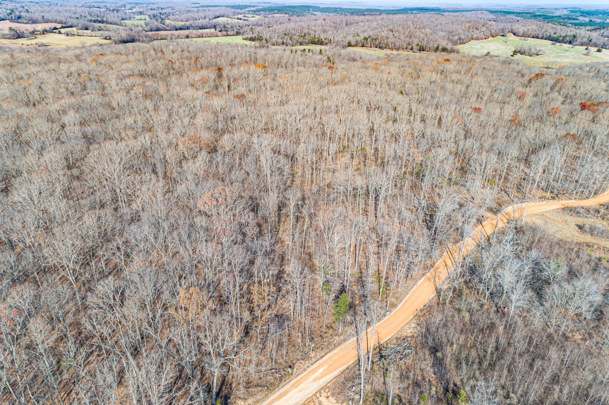 0 Joe Yarbro Road Bath Springs, TN 38311 - Photo 18 of 32 Gallery Image 18