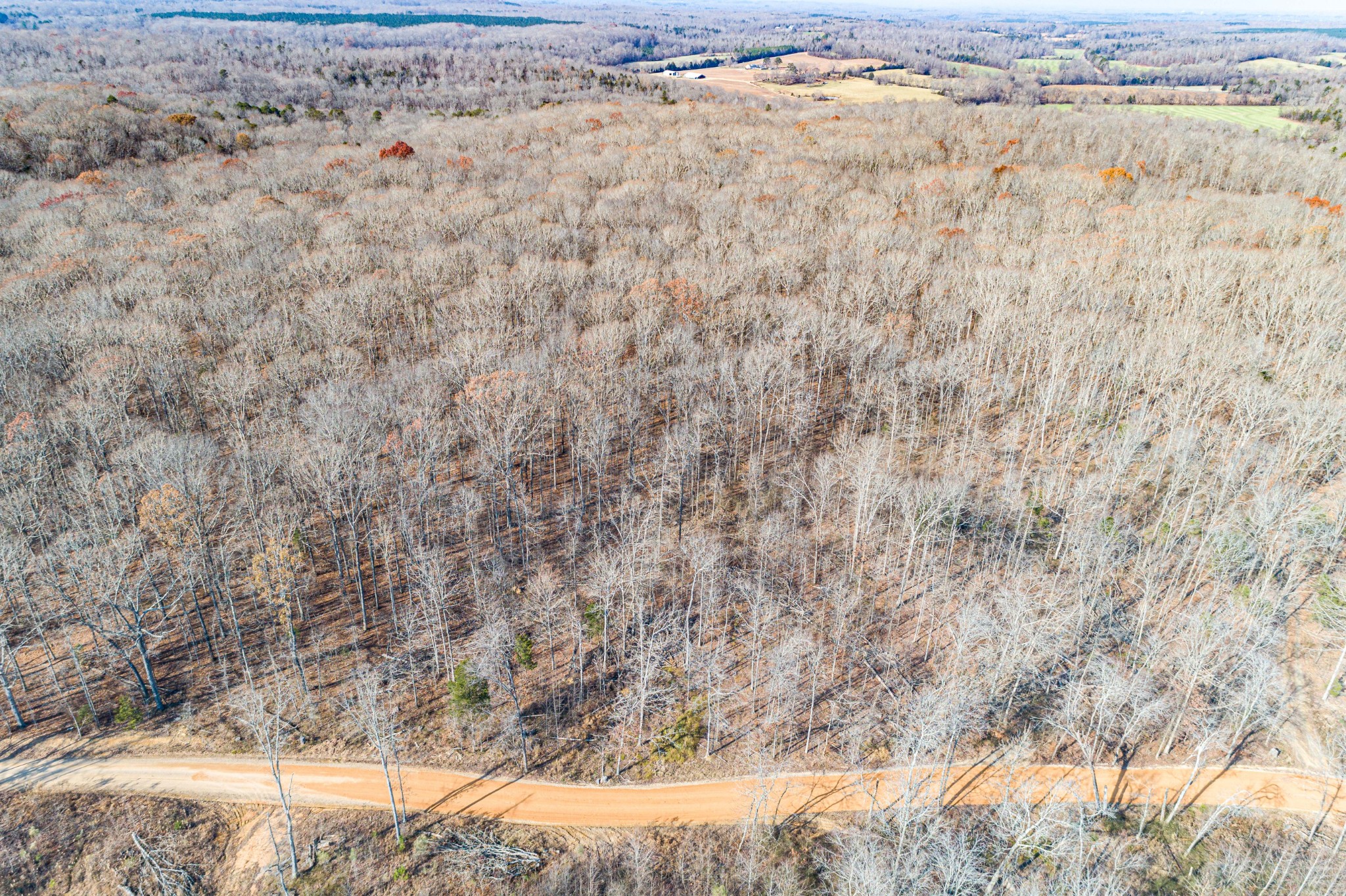 0 Joe Yarbro Road Bath Springs, TN 38311 - Photo 19 of 32 Gallery Image 19