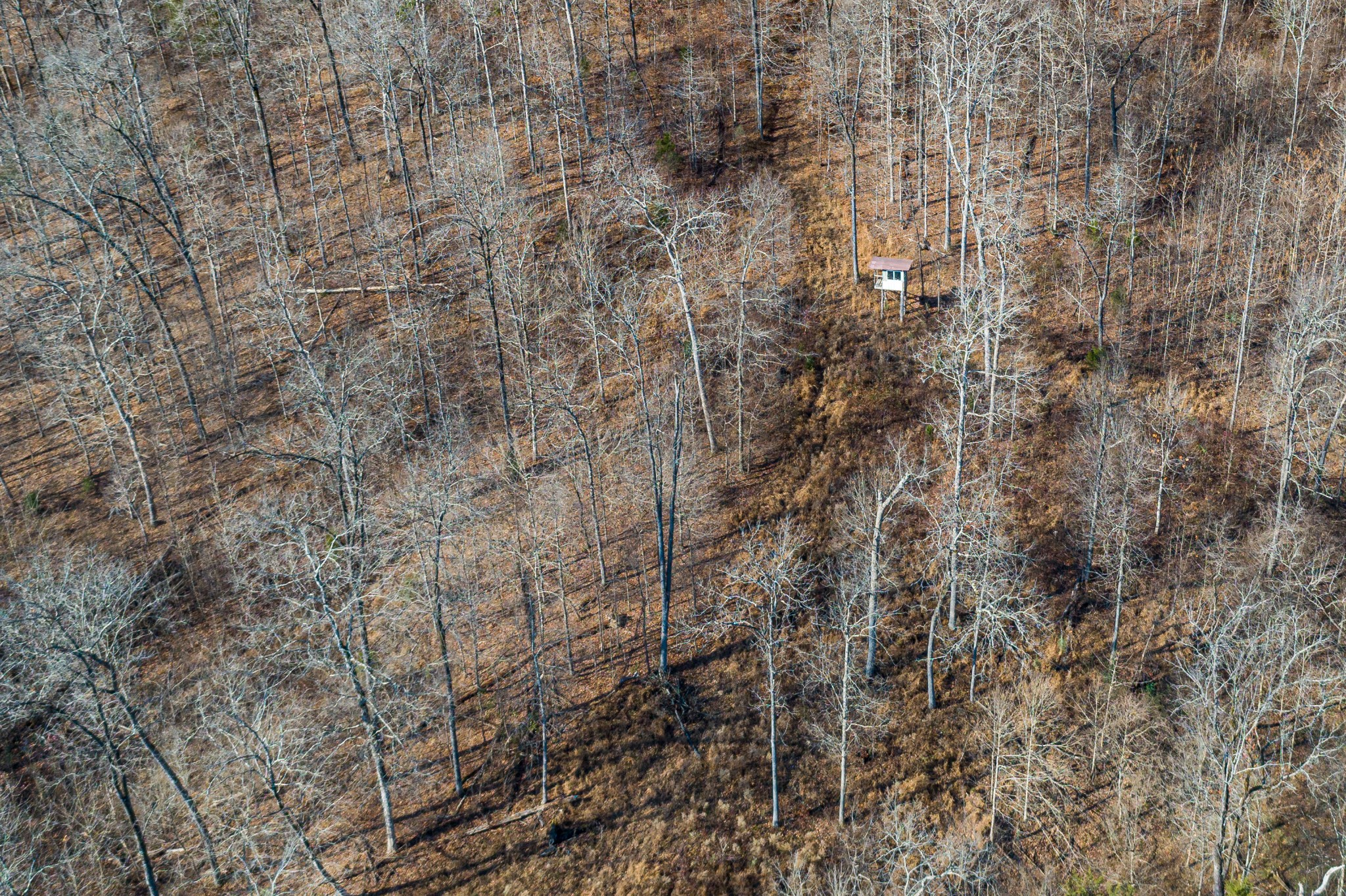 0 Joe Yarbro Road Bath Springs, TN 38311 - Photo 3 of 32 Gallery Image 3