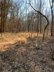 0 Joe Yarbro Road Bath Springs, TN 38311 - Photo 23 of 32 Gallery Image 23