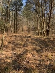 0 Joe Yarbro Road Bath Springs, TN 38311 - Photo 24 of 32 Gallery Image 24