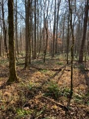 0 Joe Yarbro Road Bath Springs, TN 38311 - Photo 25 of 32 Gallery Image 25