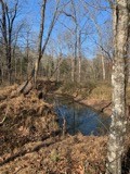 0 Joe Yarbro Road Bath Springs, TN 38311 - Photo 26 of 32 Gallery Image 26