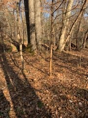 0 Joe Yarbro Road Bath Springs, TN 38311 - Photo 27 of 32 Gallery Image 27